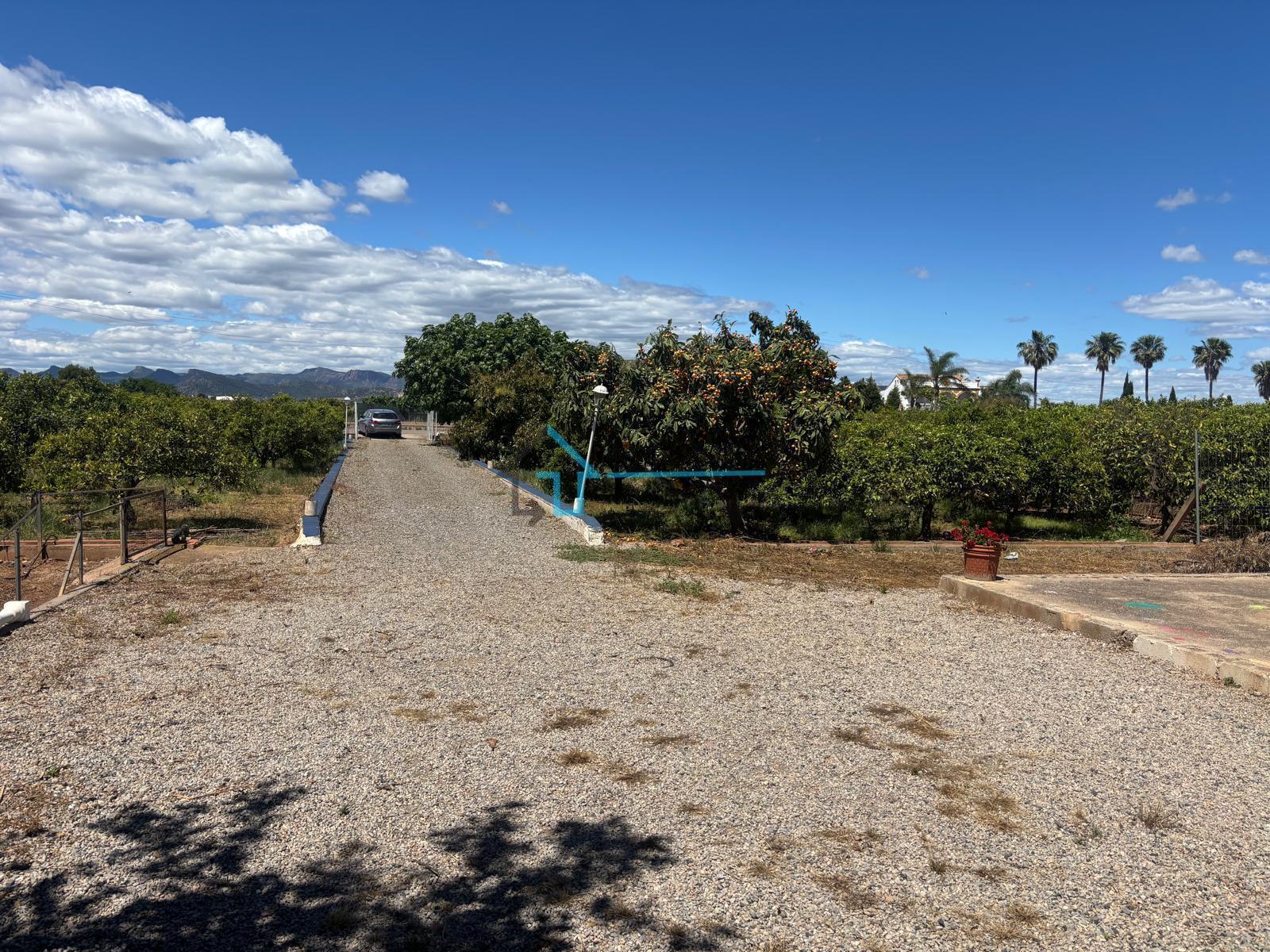 Venta de finca de recreo en Sagunto Sagunt