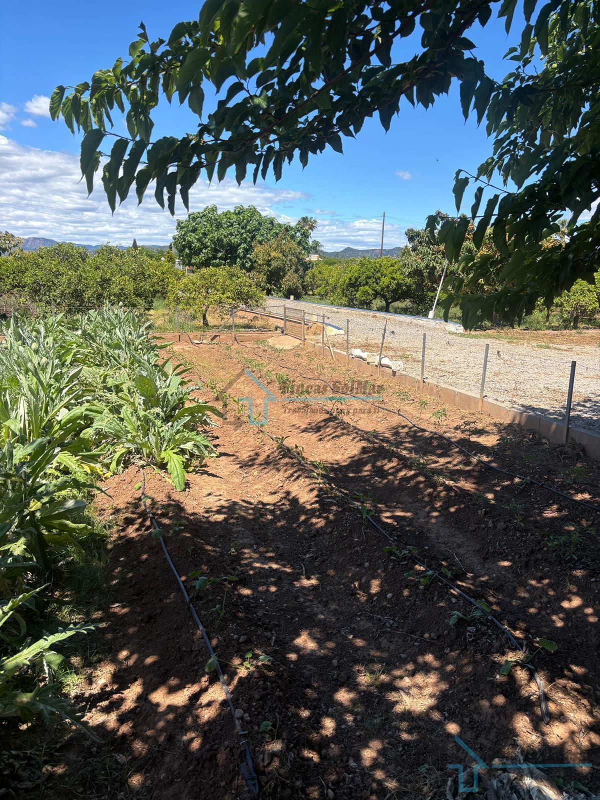 Venta de finca de recreo en Sagunto Sagunt