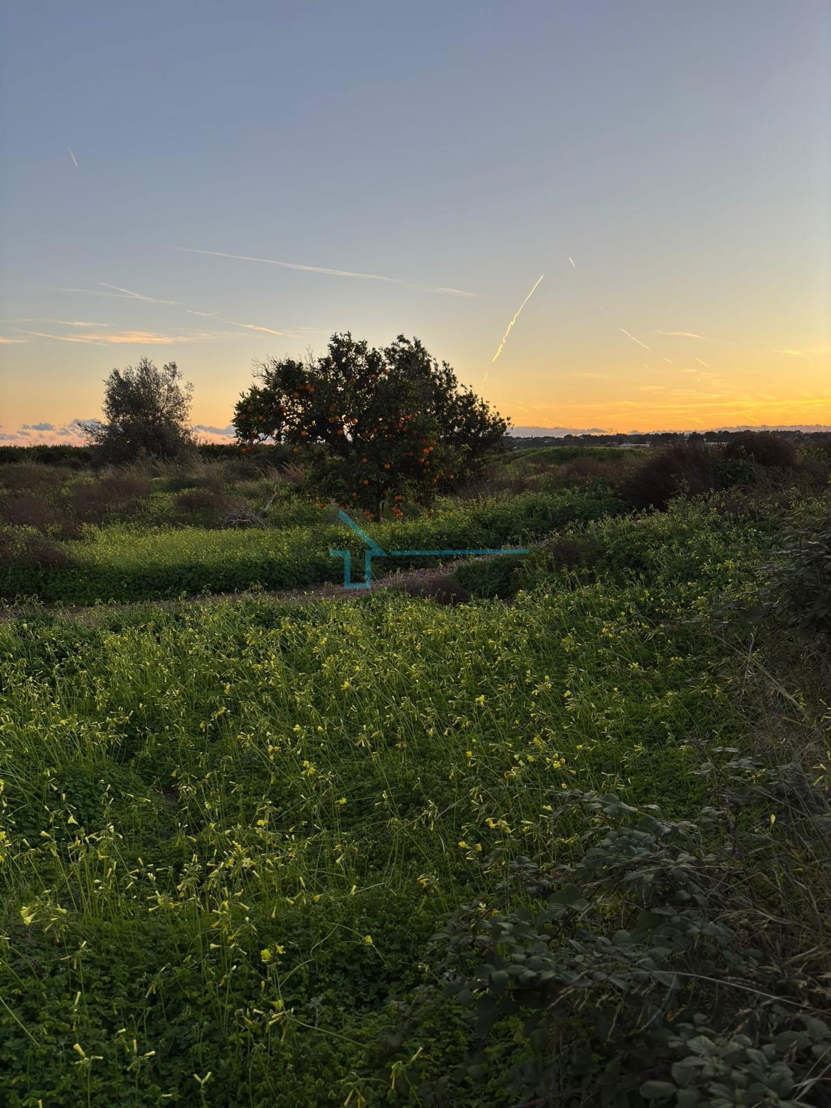 Venta de terreno en Bétera