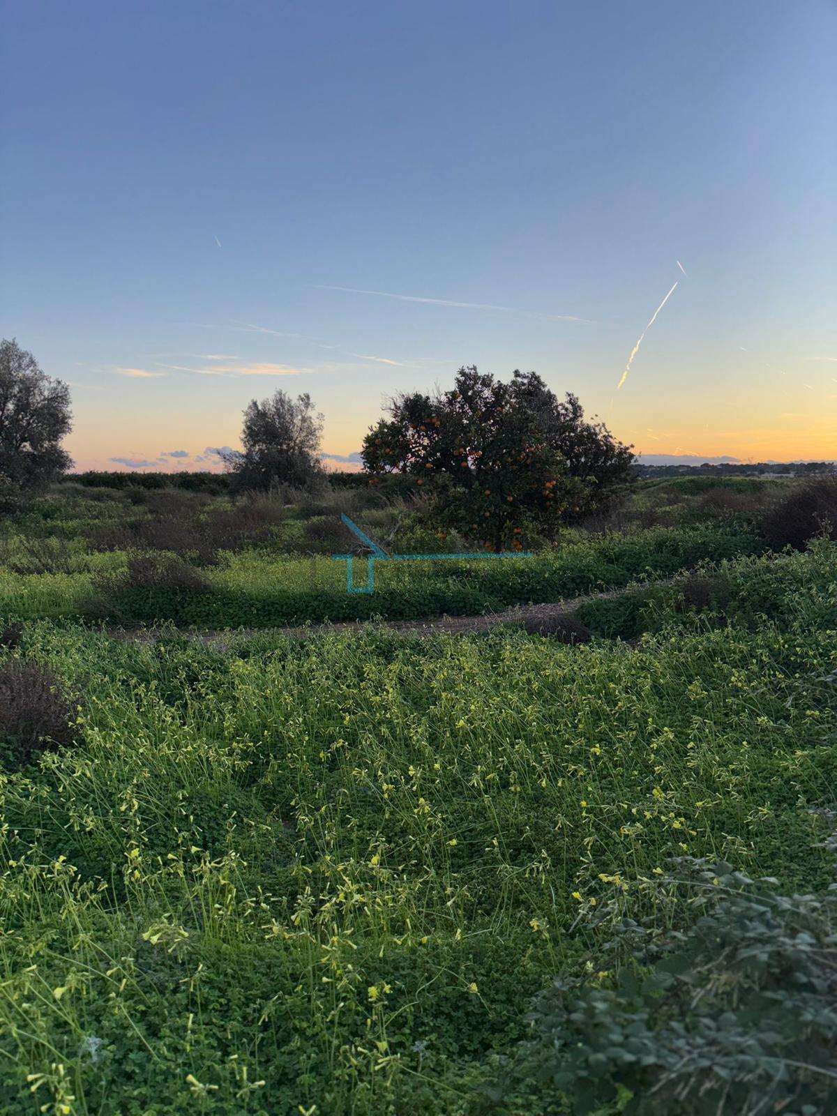 Venta de terreno en Bétera