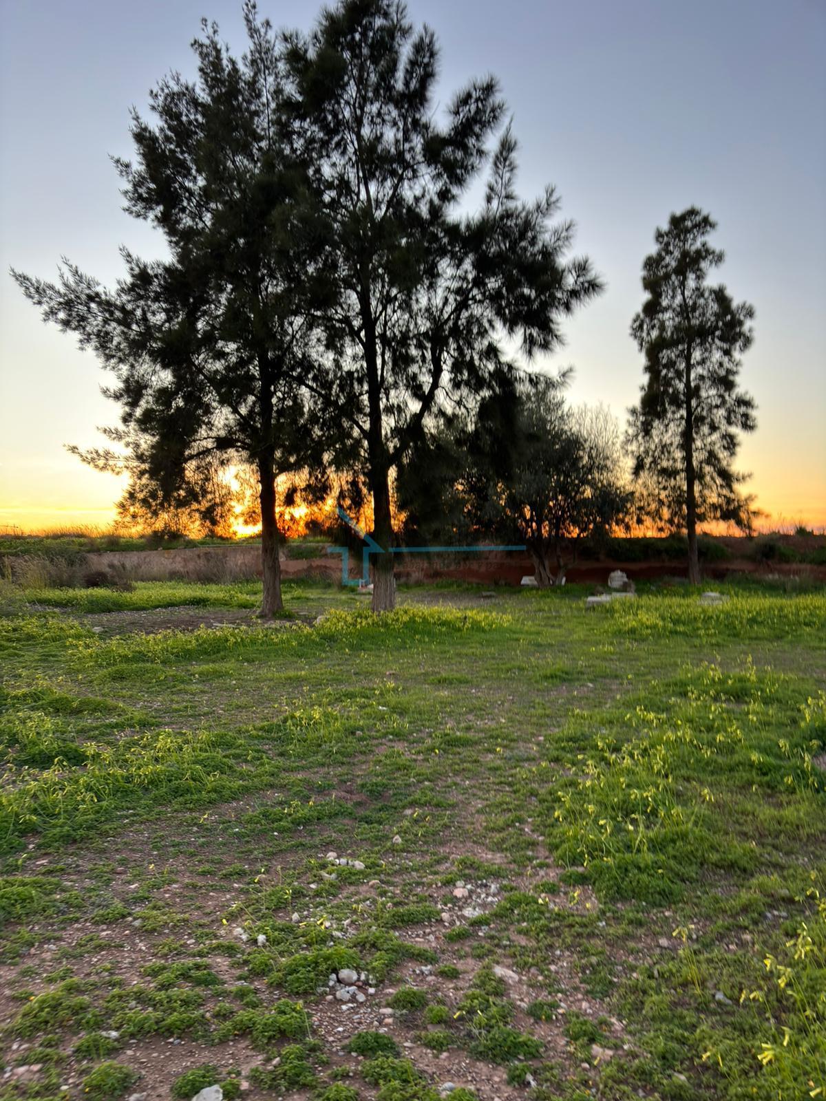 Venta de terreno en Bétera