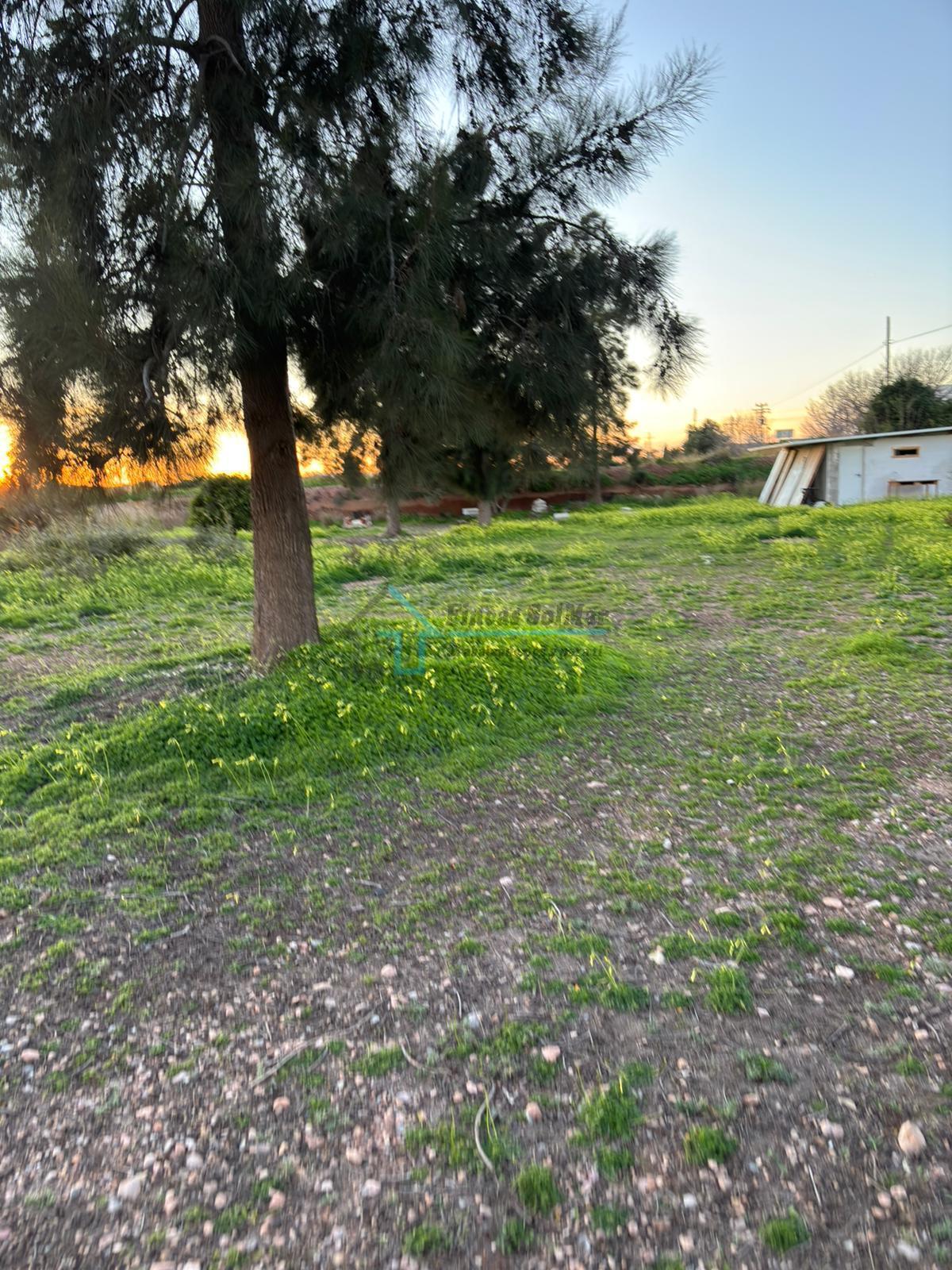 Venta de terreno en Bétera