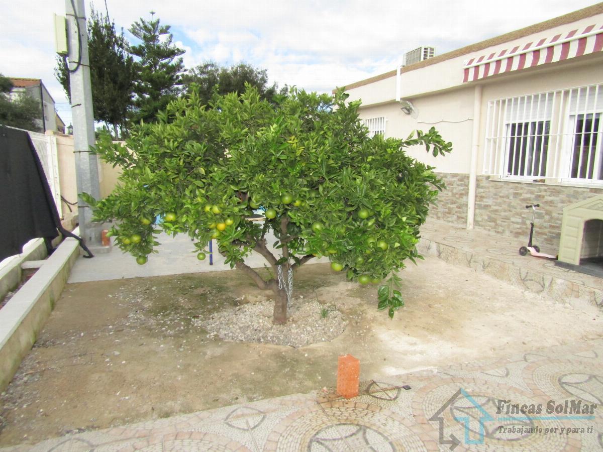 Venta de chalet en Castellón
