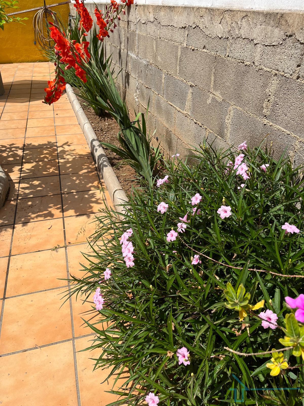 Venta de chalet en Castellón