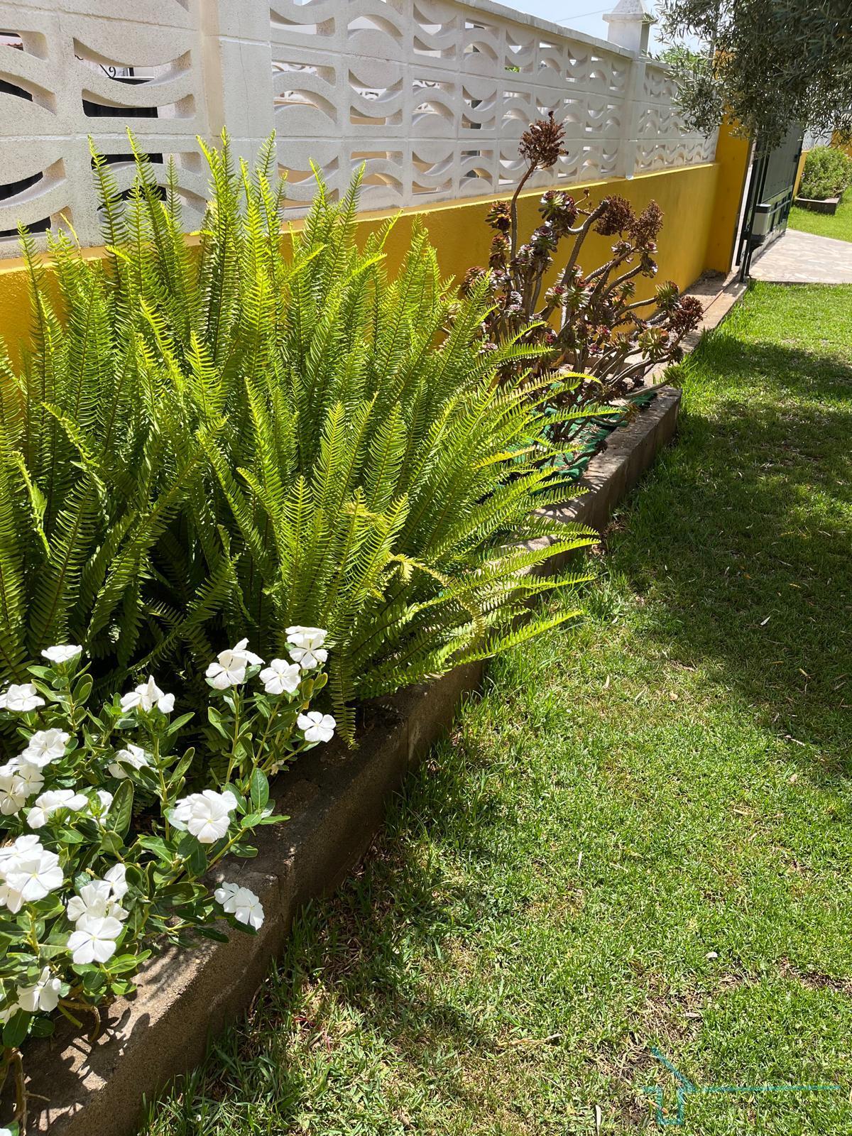 Venta de chalet en Castellón