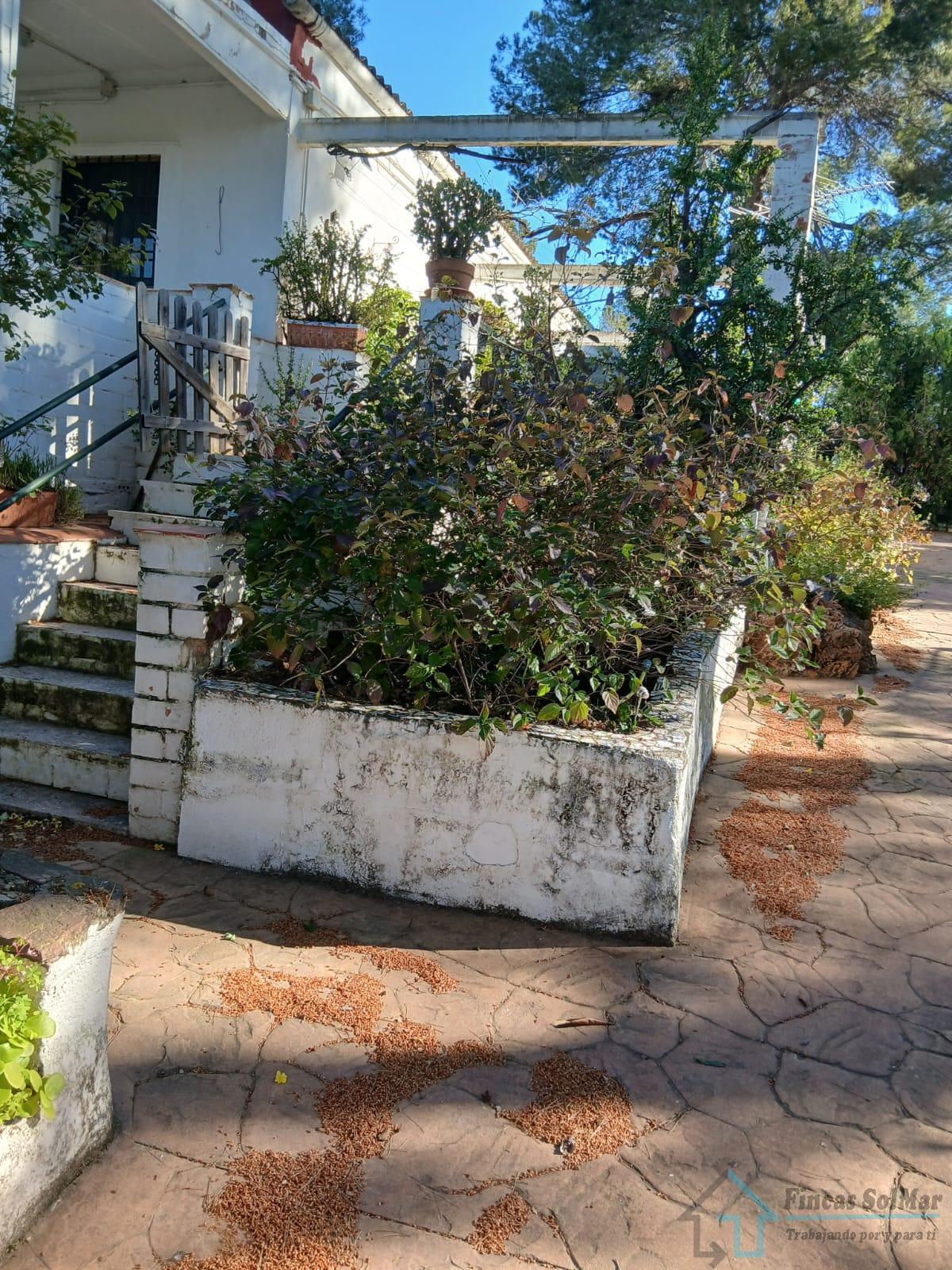 Venta de chalet en Alfara de Algimia