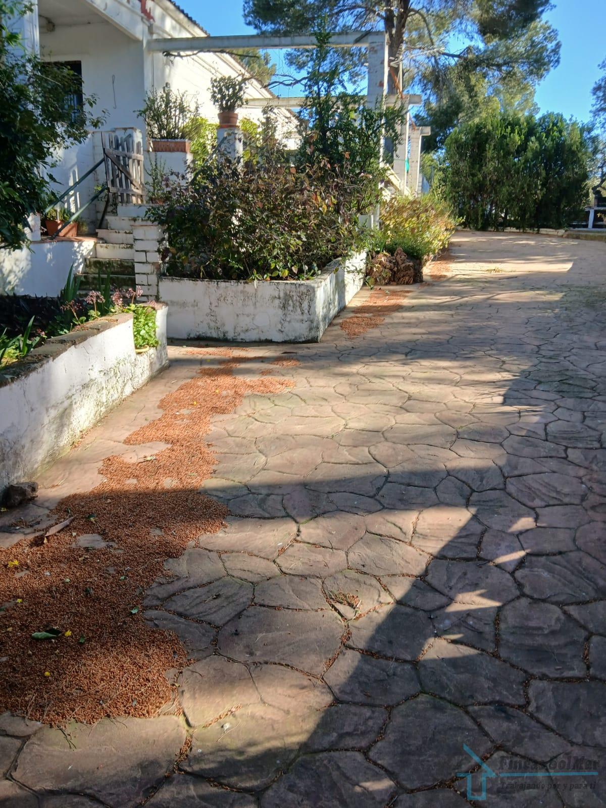 Venta de chalet en Alfara de Algimia