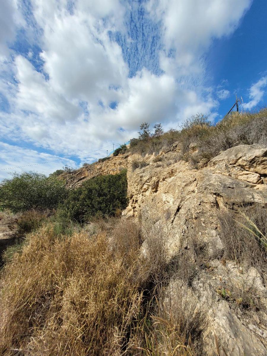 For sale of land in Alicante