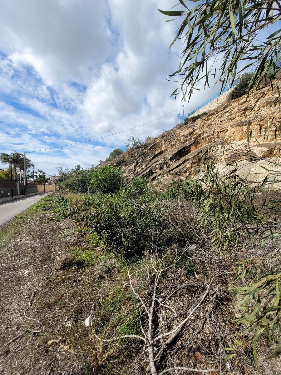 For sale of land in Alicante