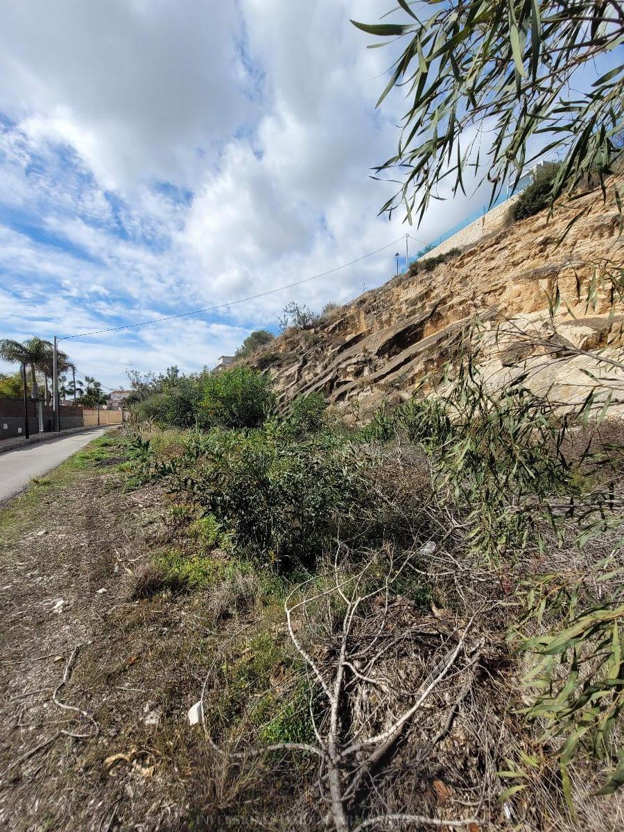 For sale of land in Alicante
