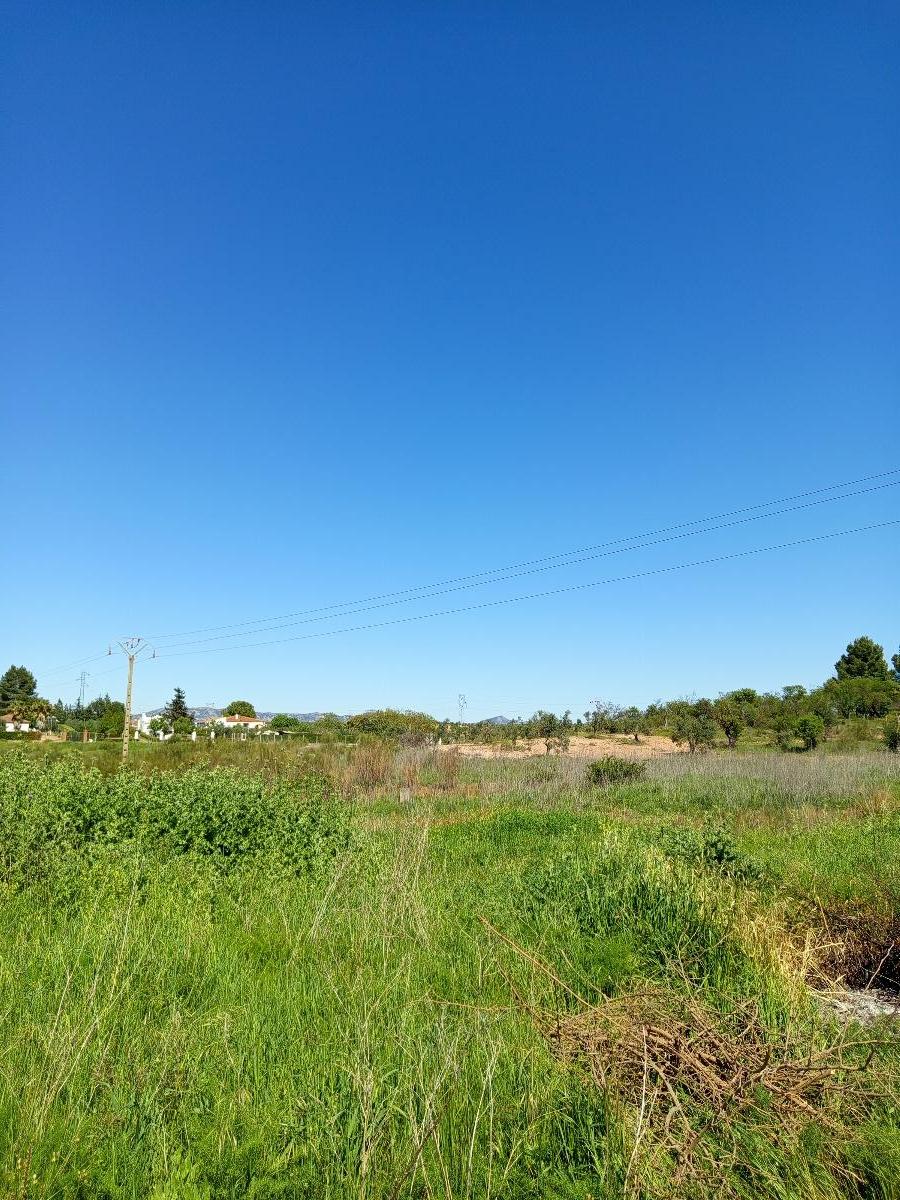 Venta de finca rústica en Mérida