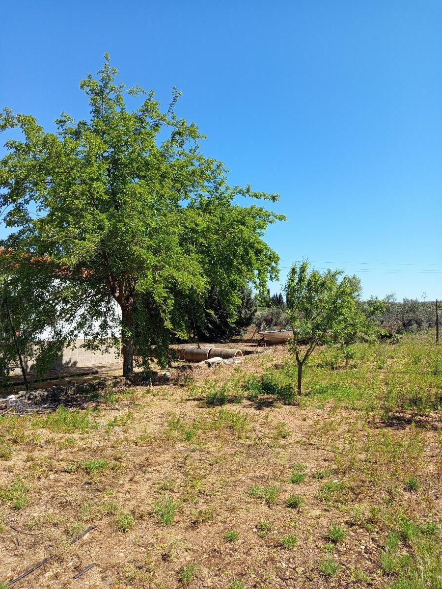 Venta de finca rústica en Mérida