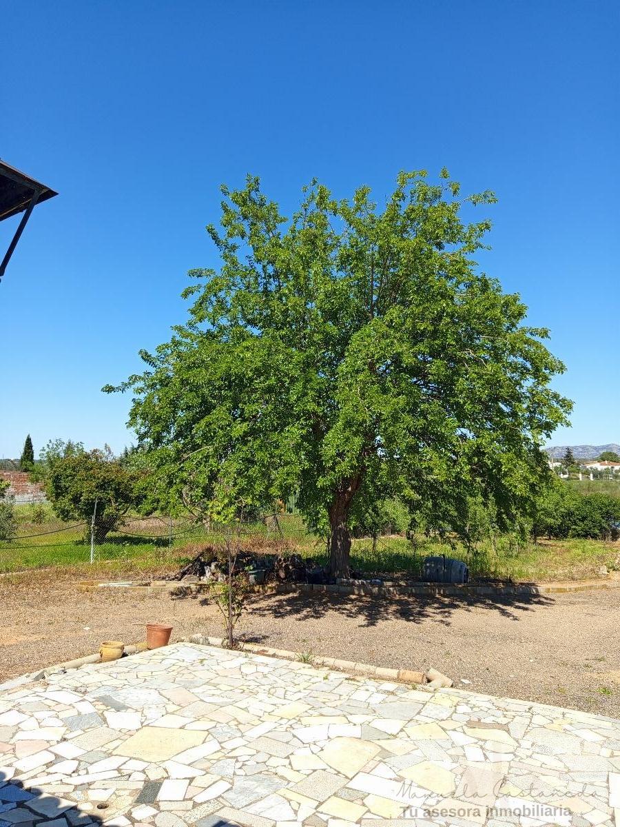 For sale of recreation property in Alange