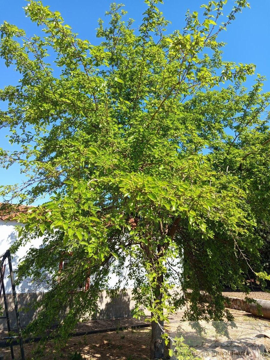 For sale of recreation property in Alange