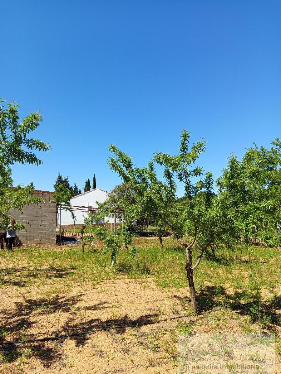 For sale of recreation property in Alange
