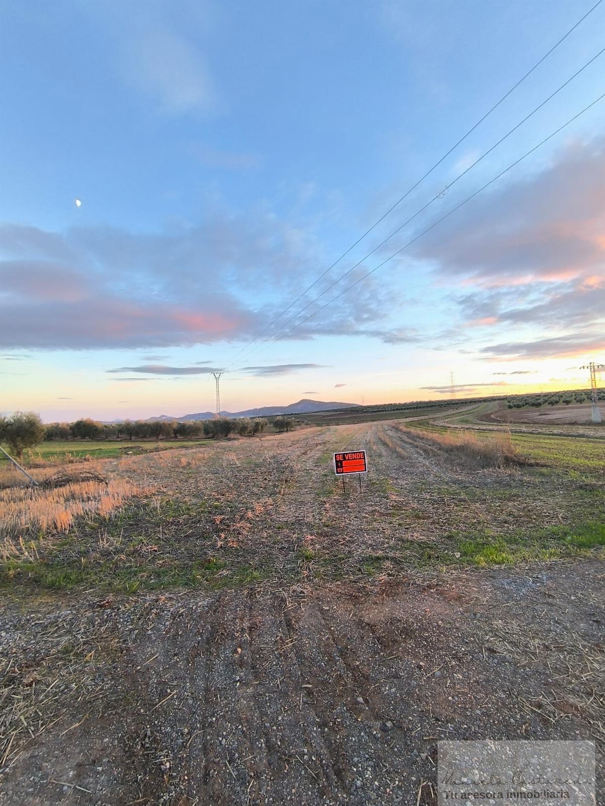 For sale of rural property in Esparragalejo