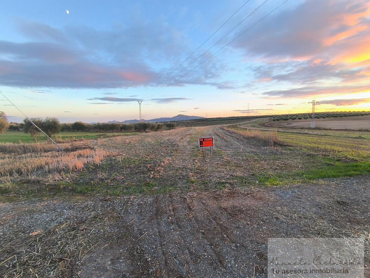 For sale of rural property in Esparragalejo