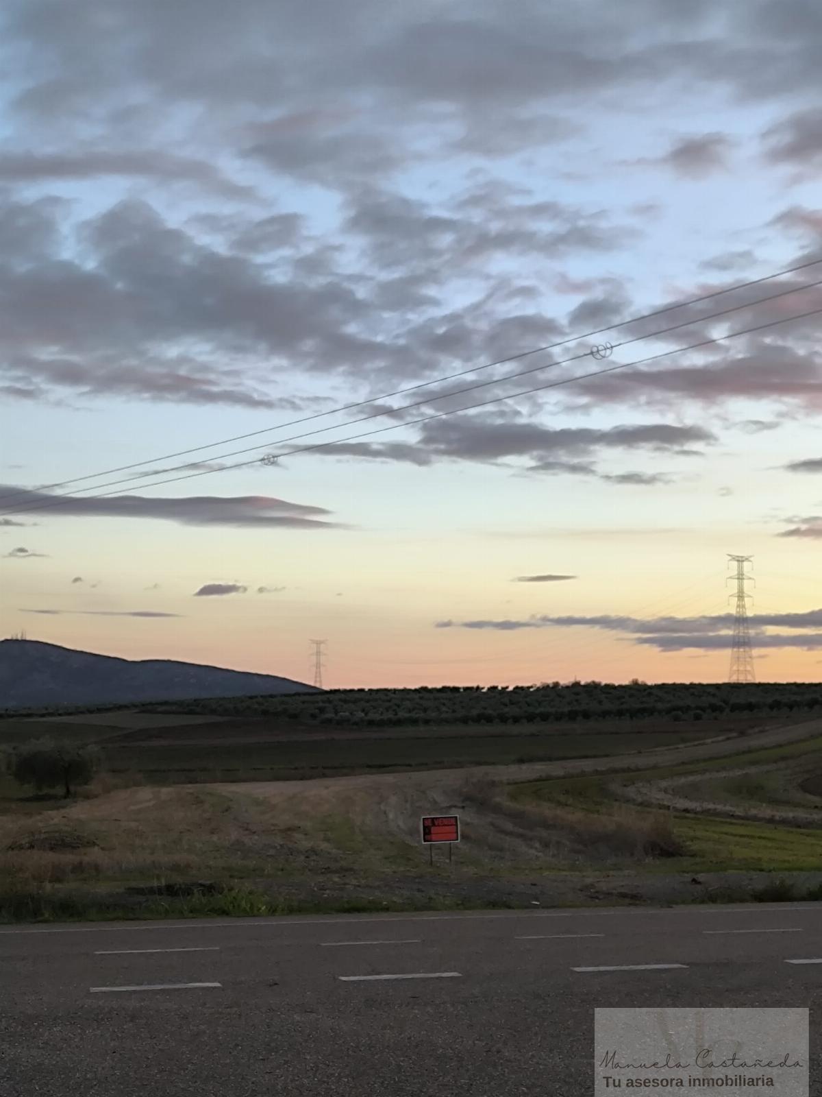 For sale of rural property in Esparragalejo