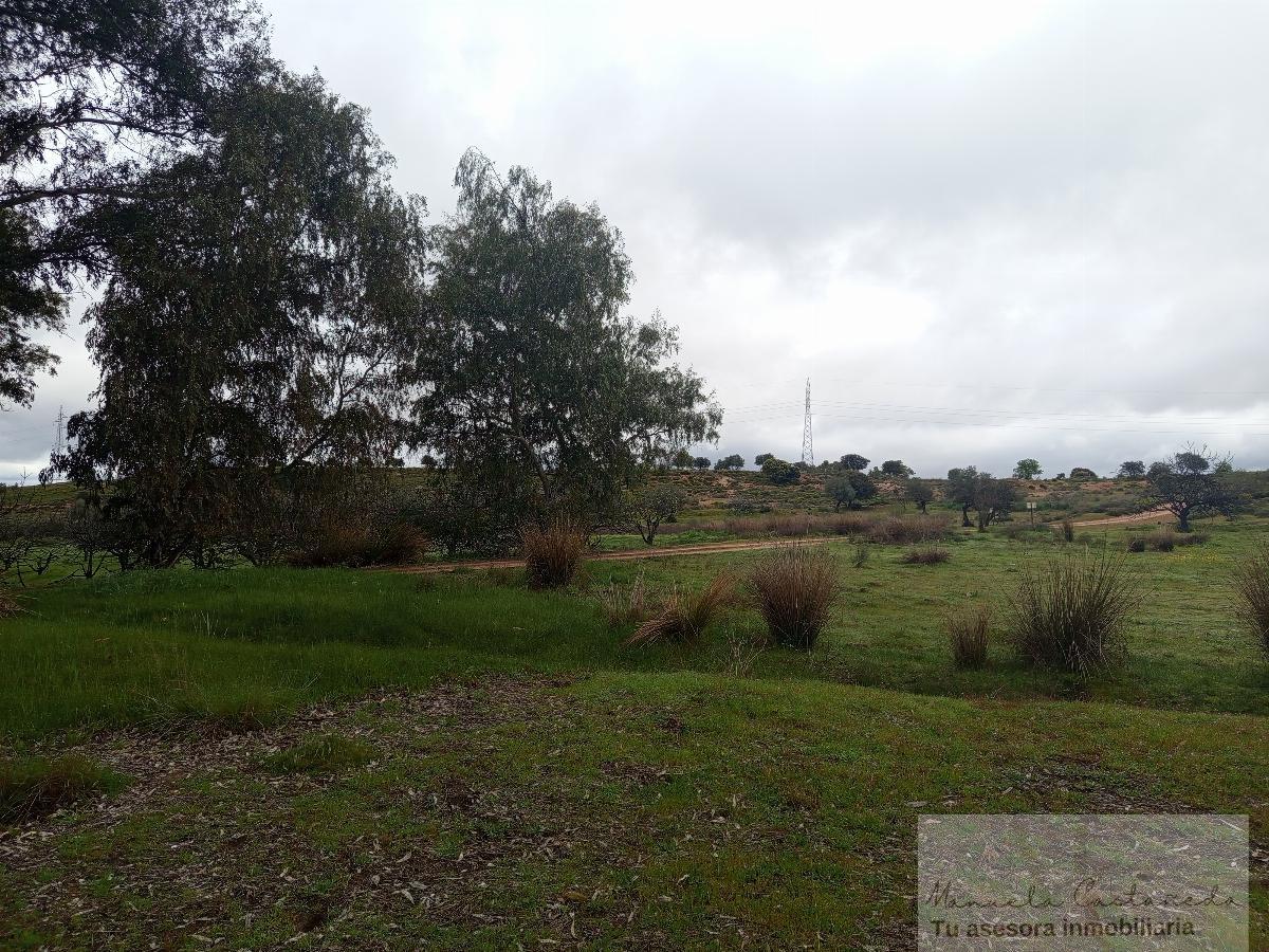 For sale of rural property in Mérida