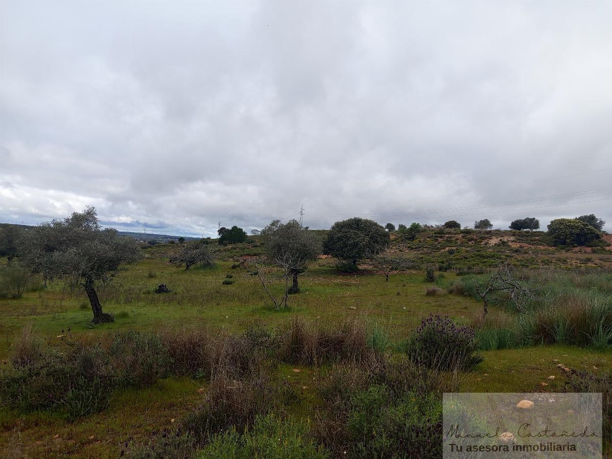 For sale of rural property in Mérida