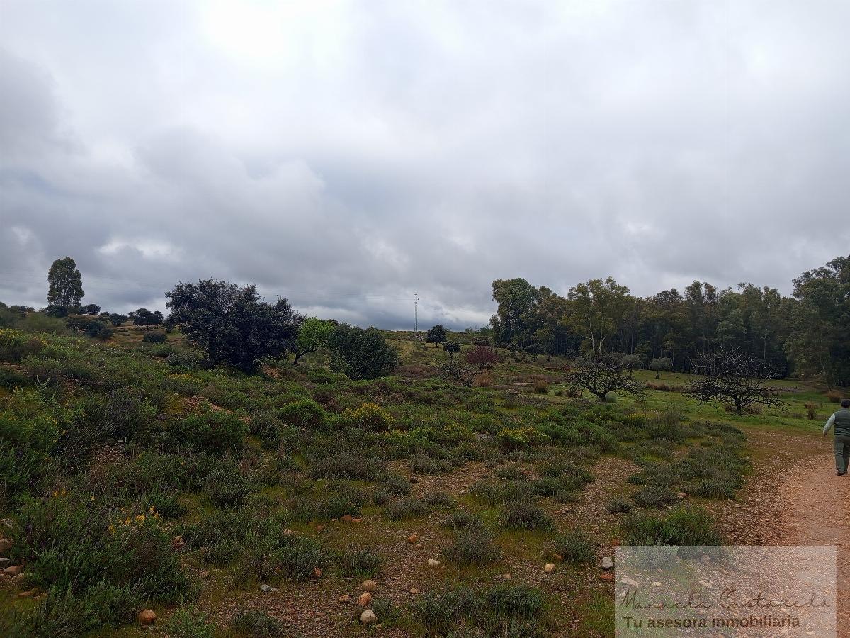 For sale of rural property in Mérida