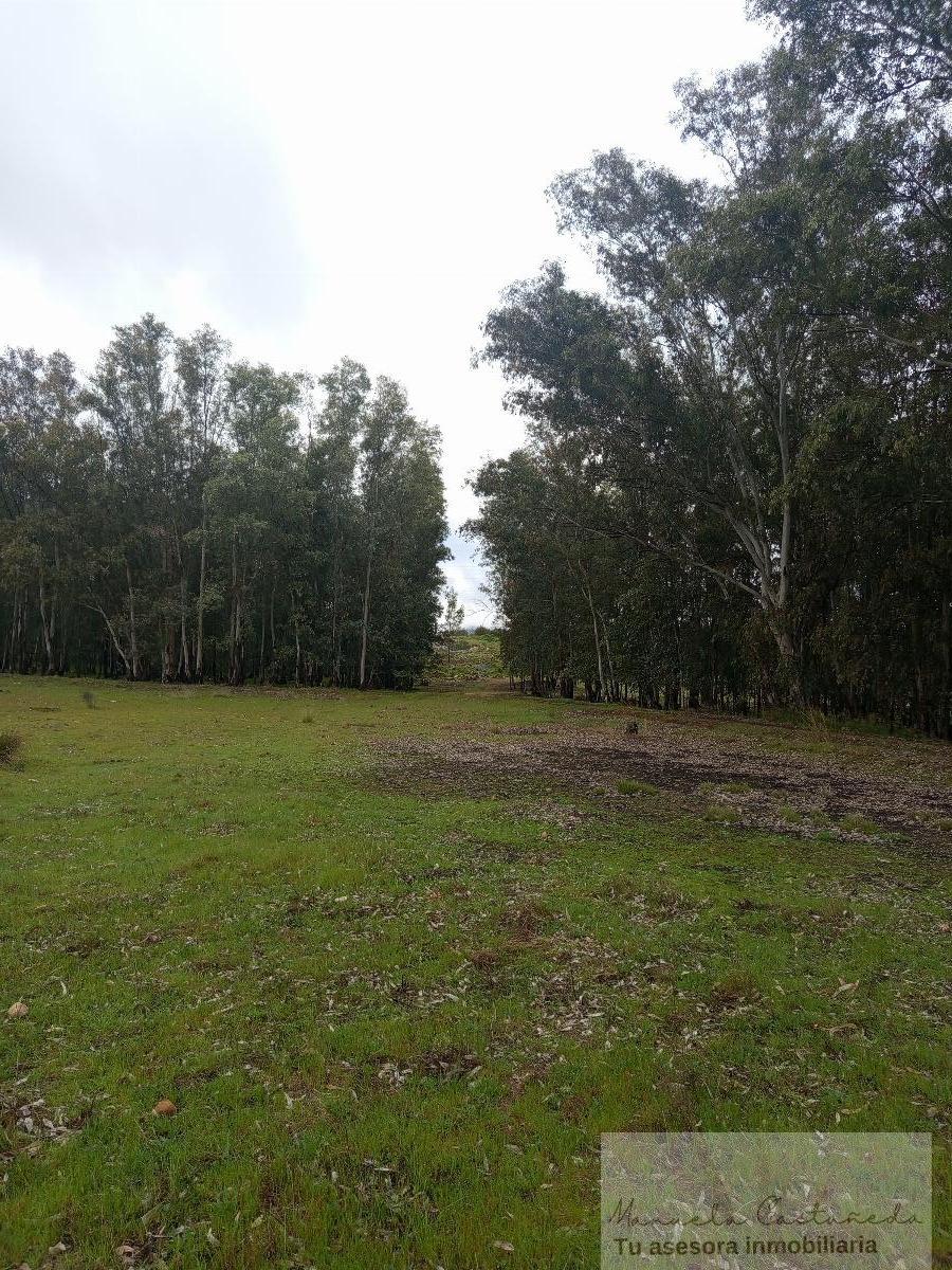 For sale of rural property in Mérida
