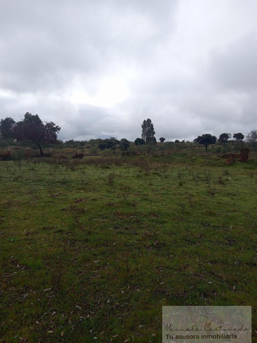 For sale of rural property in Mérida