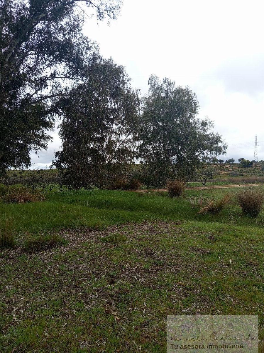 For sale of rural property in Mérida