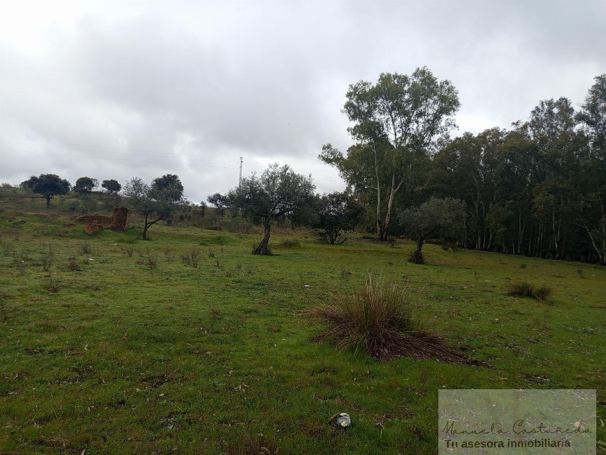 For sale of rural property in Mérida