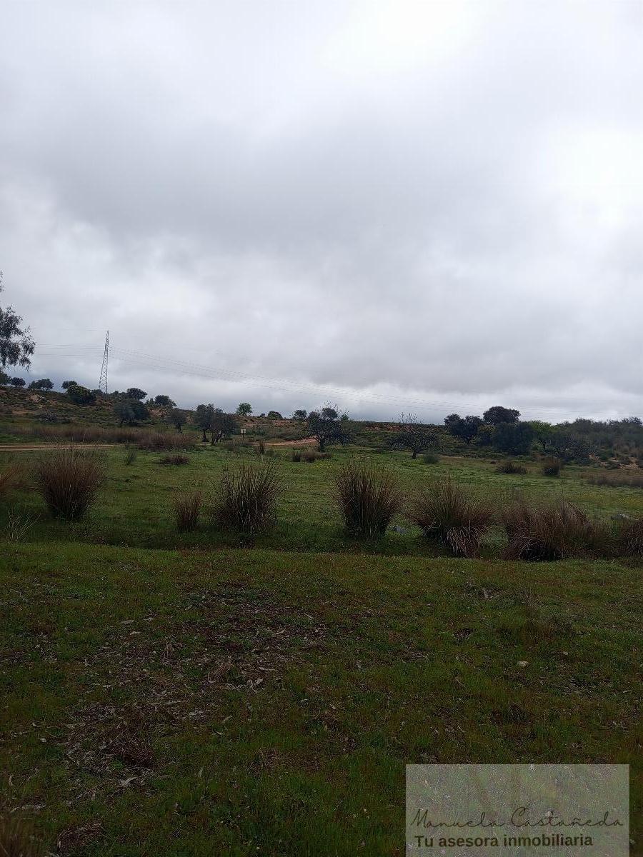 For sale of rural property in Mérida