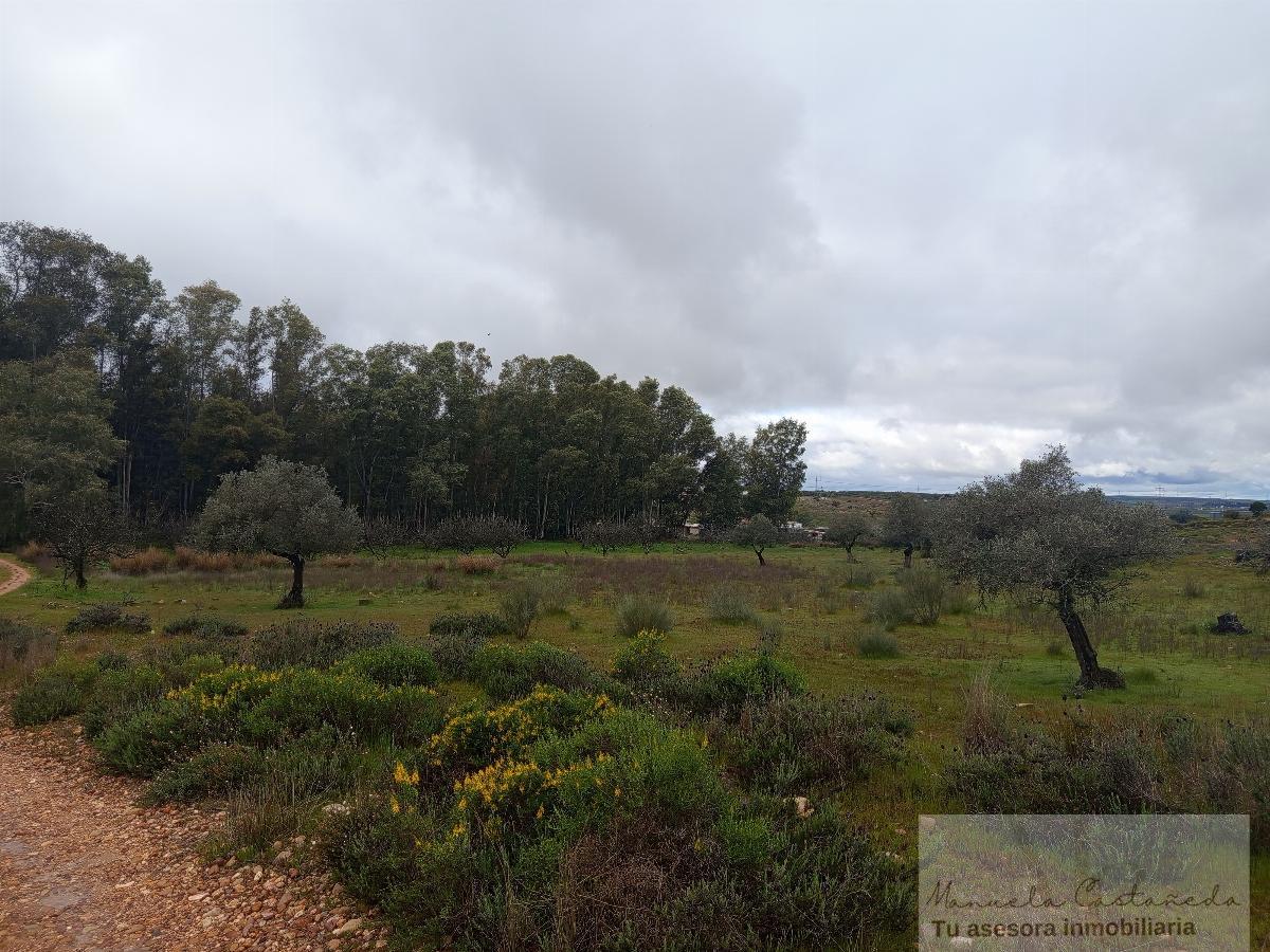 For sale of rural property in Mérida