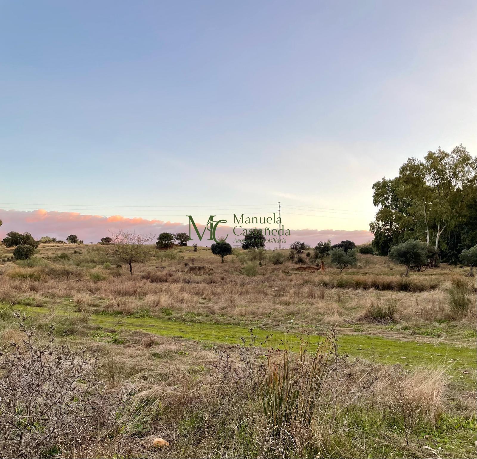 Venta de finca rústica en Mérida