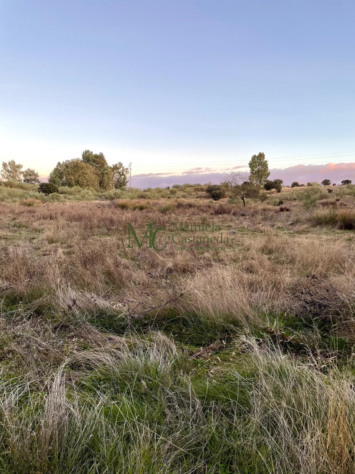 Venta de finca rústica en Mérida