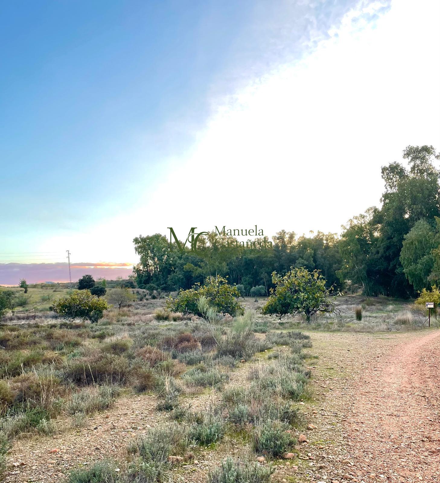 Venta de finca rústica en Mérida