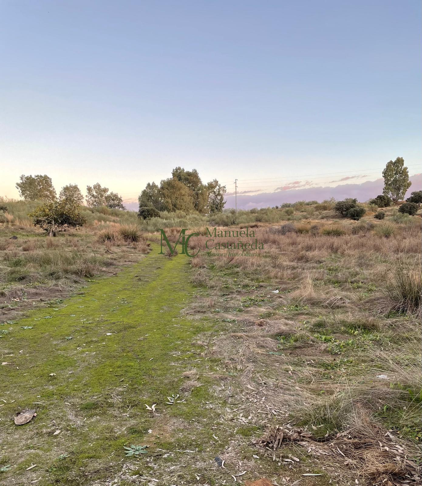 Venta de finca rústica en Mérida