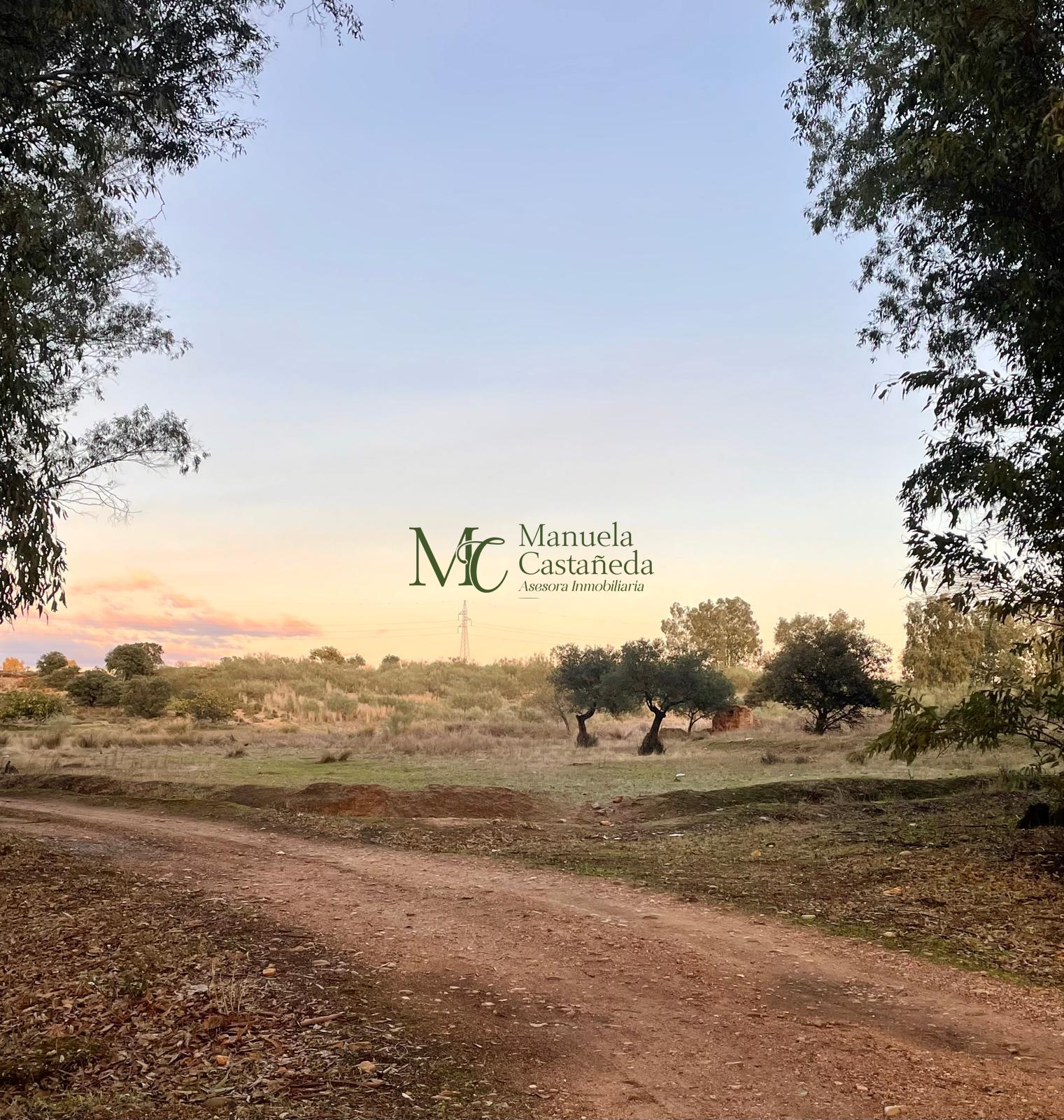 Venta de finca rústica en Mérida