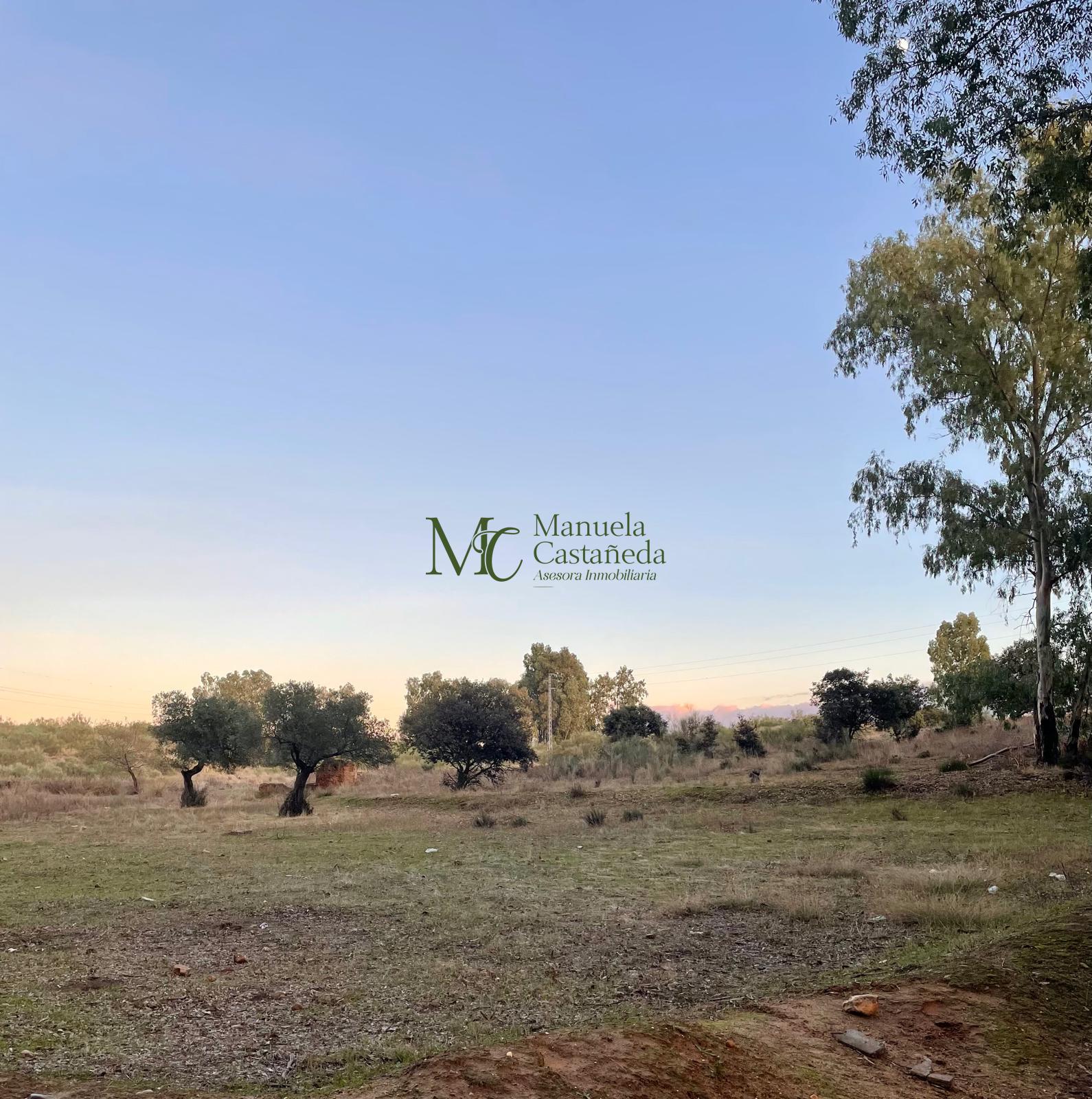 Venta de finca rústica en Mérida