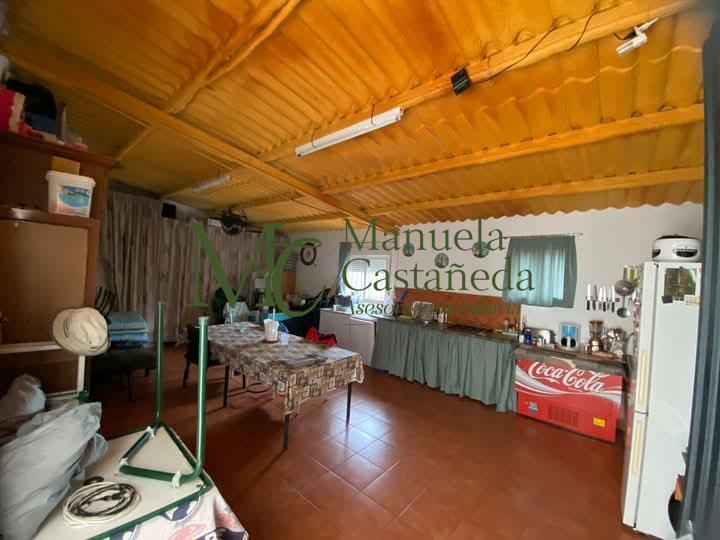 Venta de finca de recreo en Don Álvaro