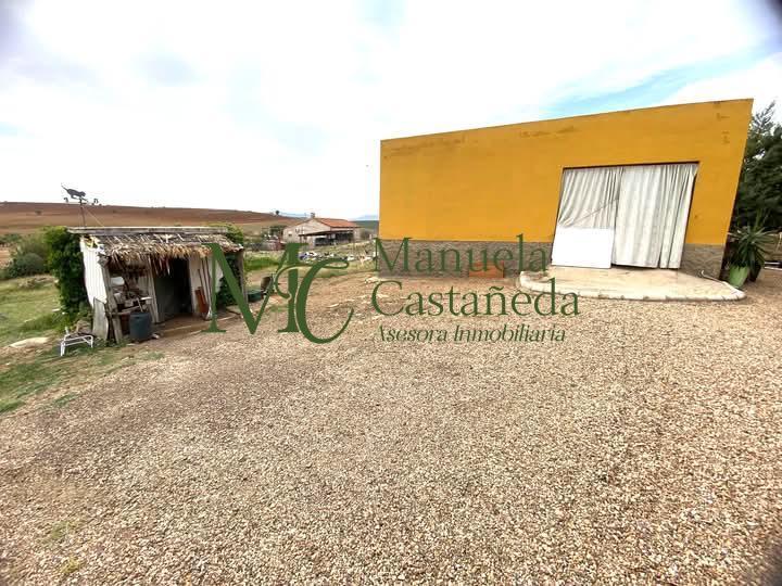 Venta de finca de recreo en Don Álvaro