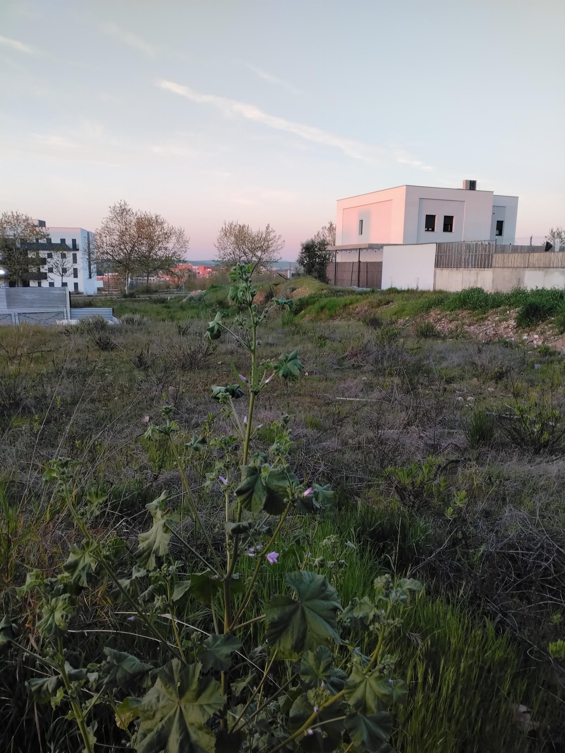 Venta de terreno en Mérida