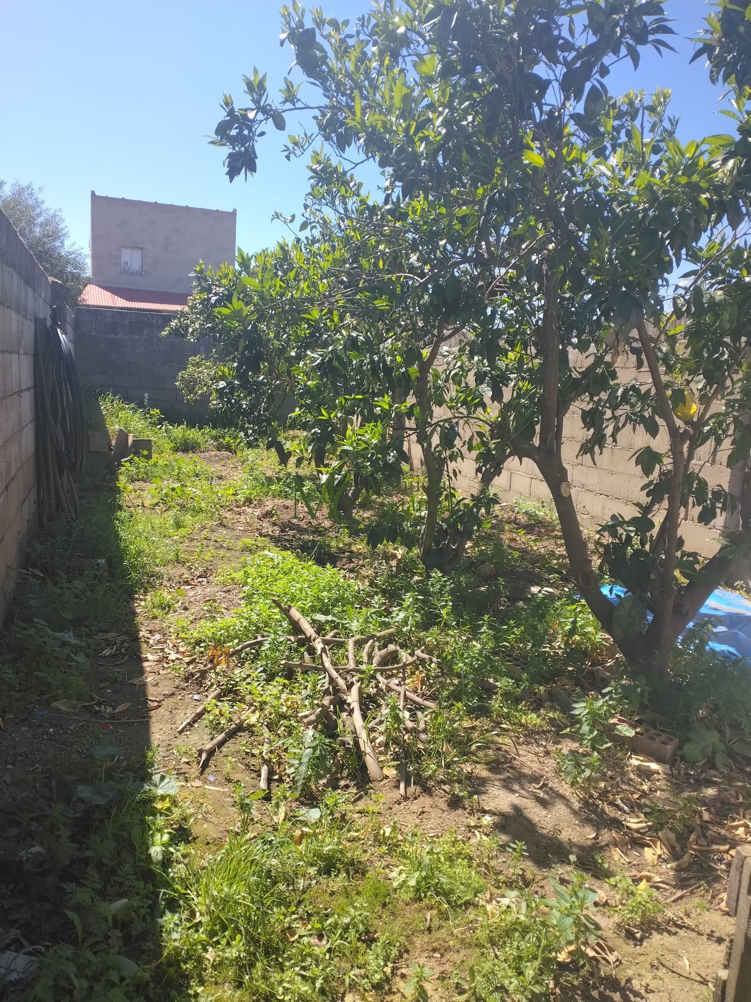 Alquiler de local en Villagonzalo