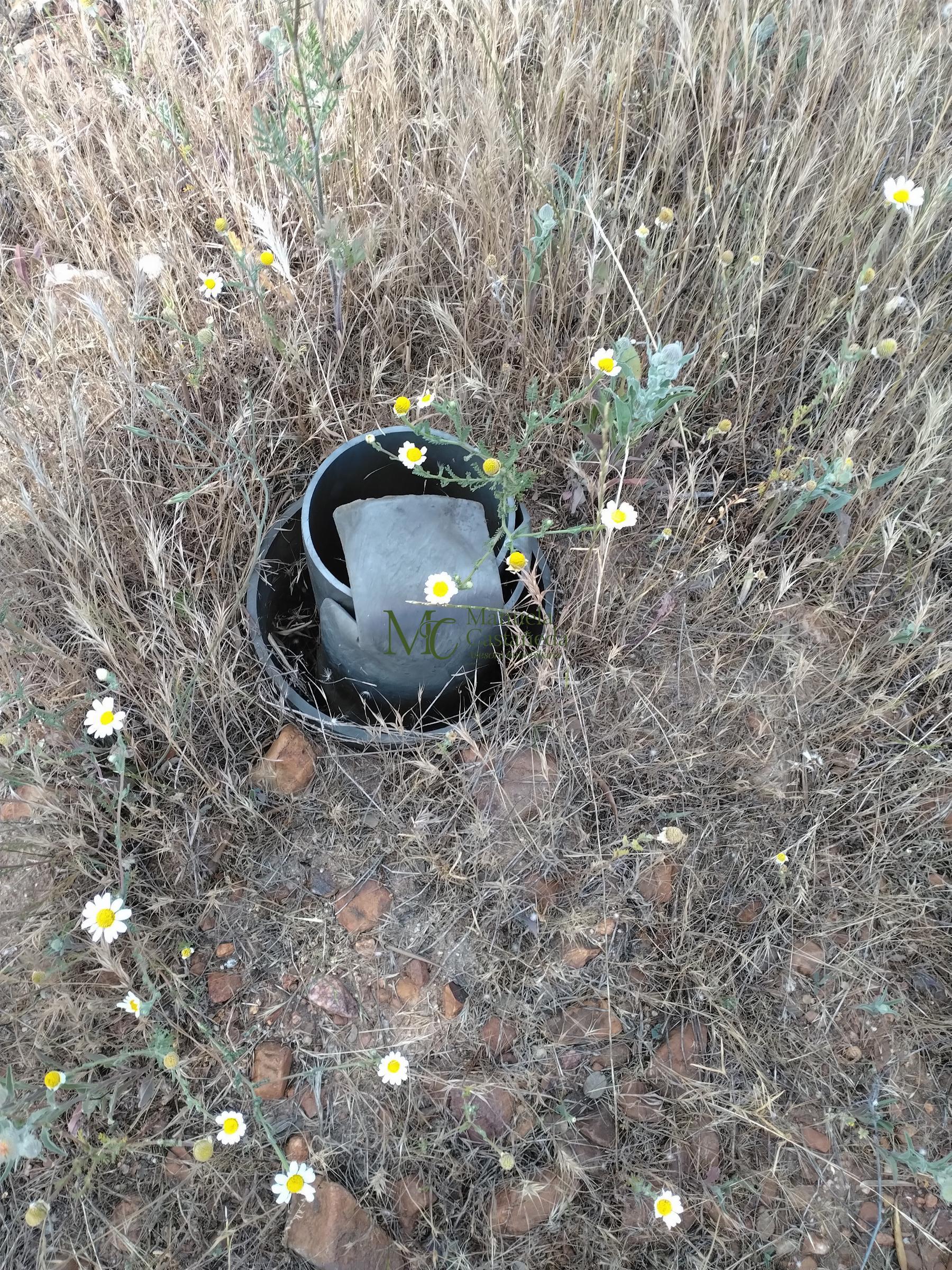 Venta de finca rústica en Guareña