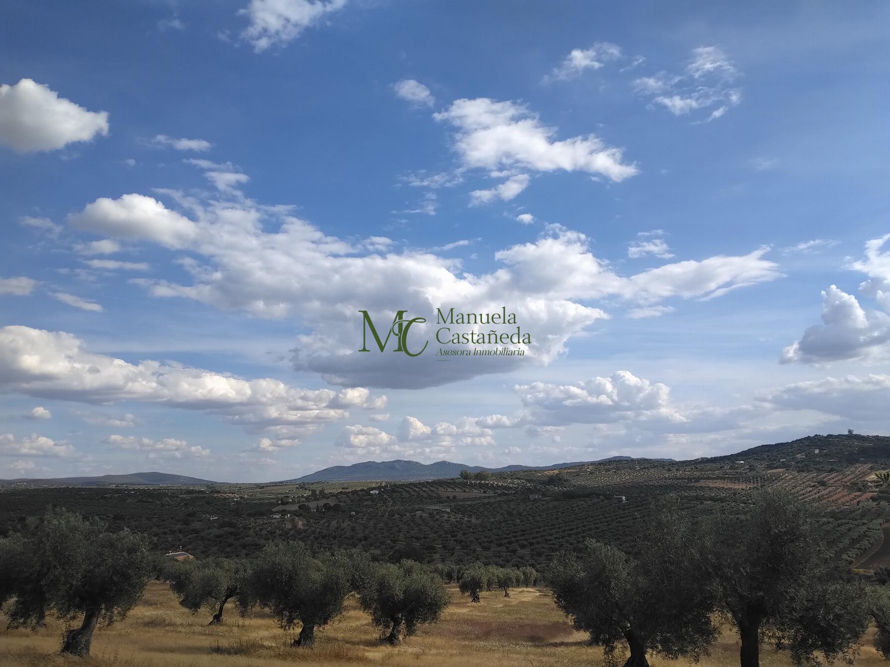Venta de finca rústica en Guareña