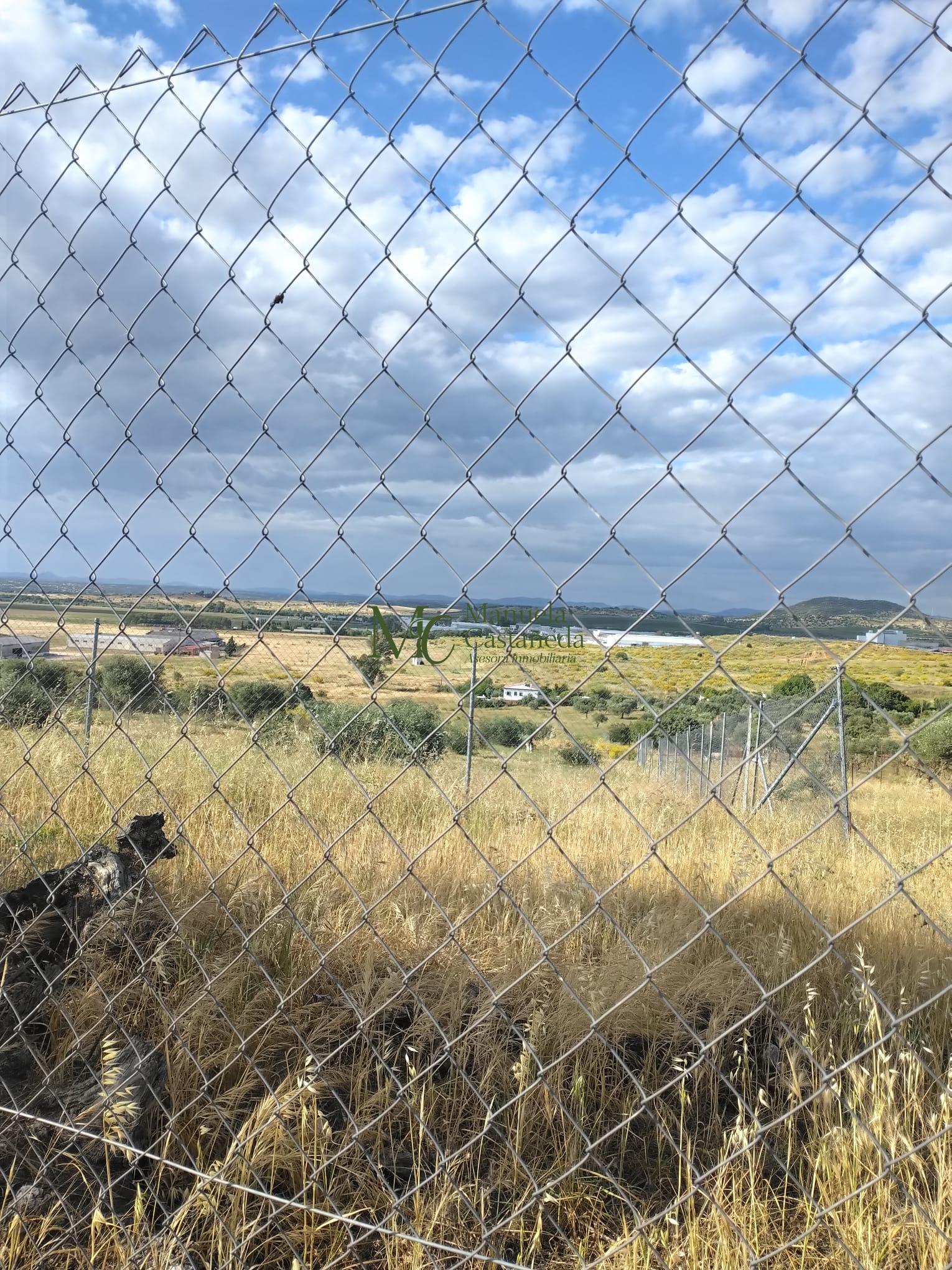 Venta de finca rústica en Mérida
