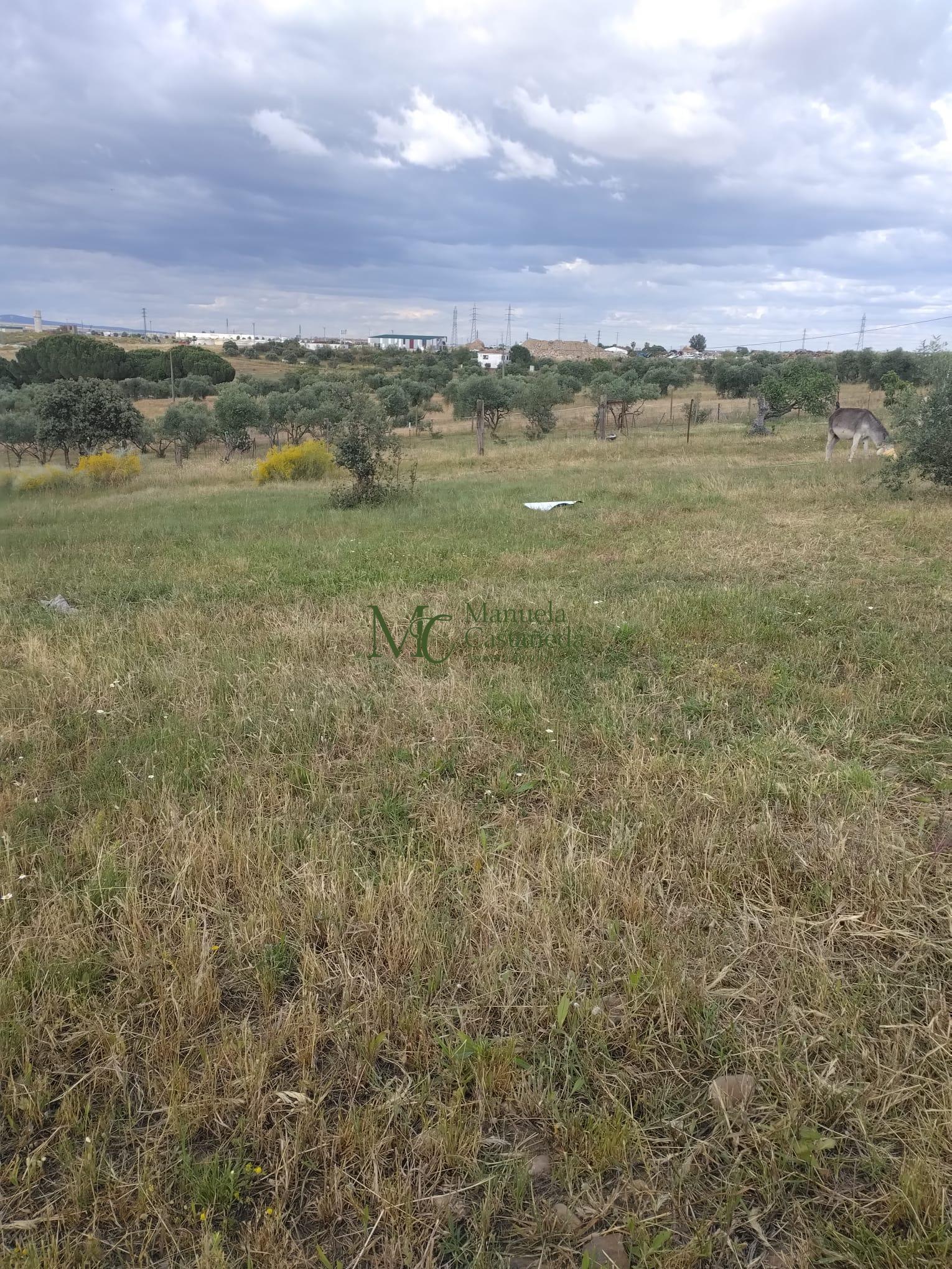 Venta de finca rústica en Mérida