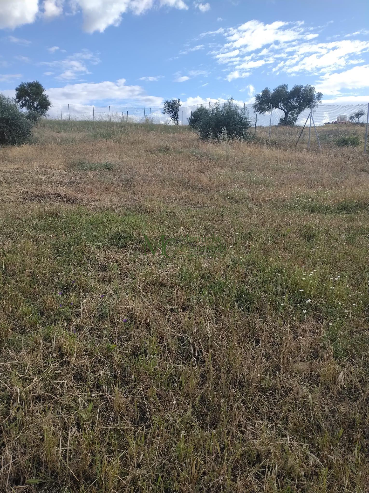 Venta de finca rústica en Mérida