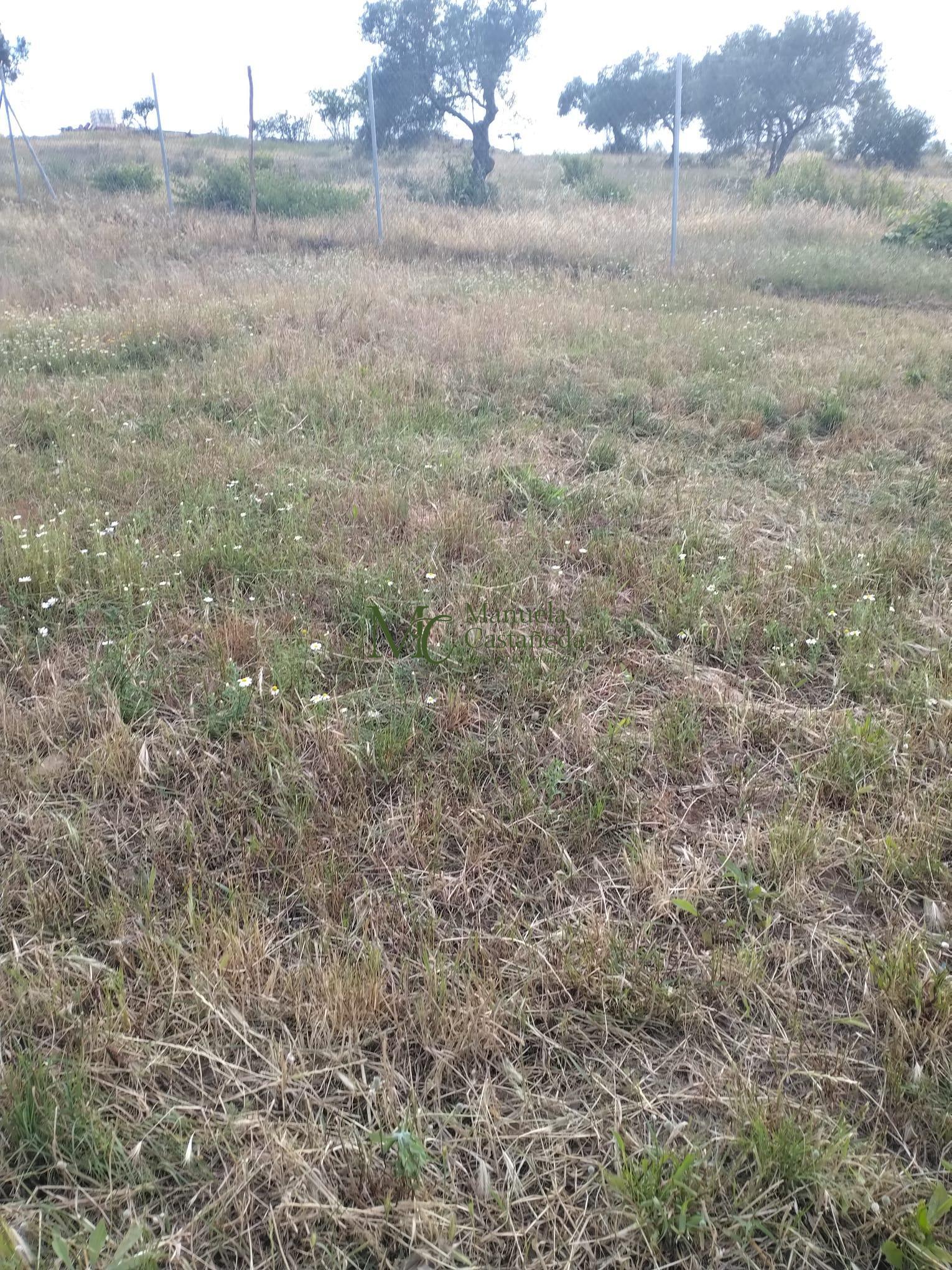 Venta de finca rústica en Mérida