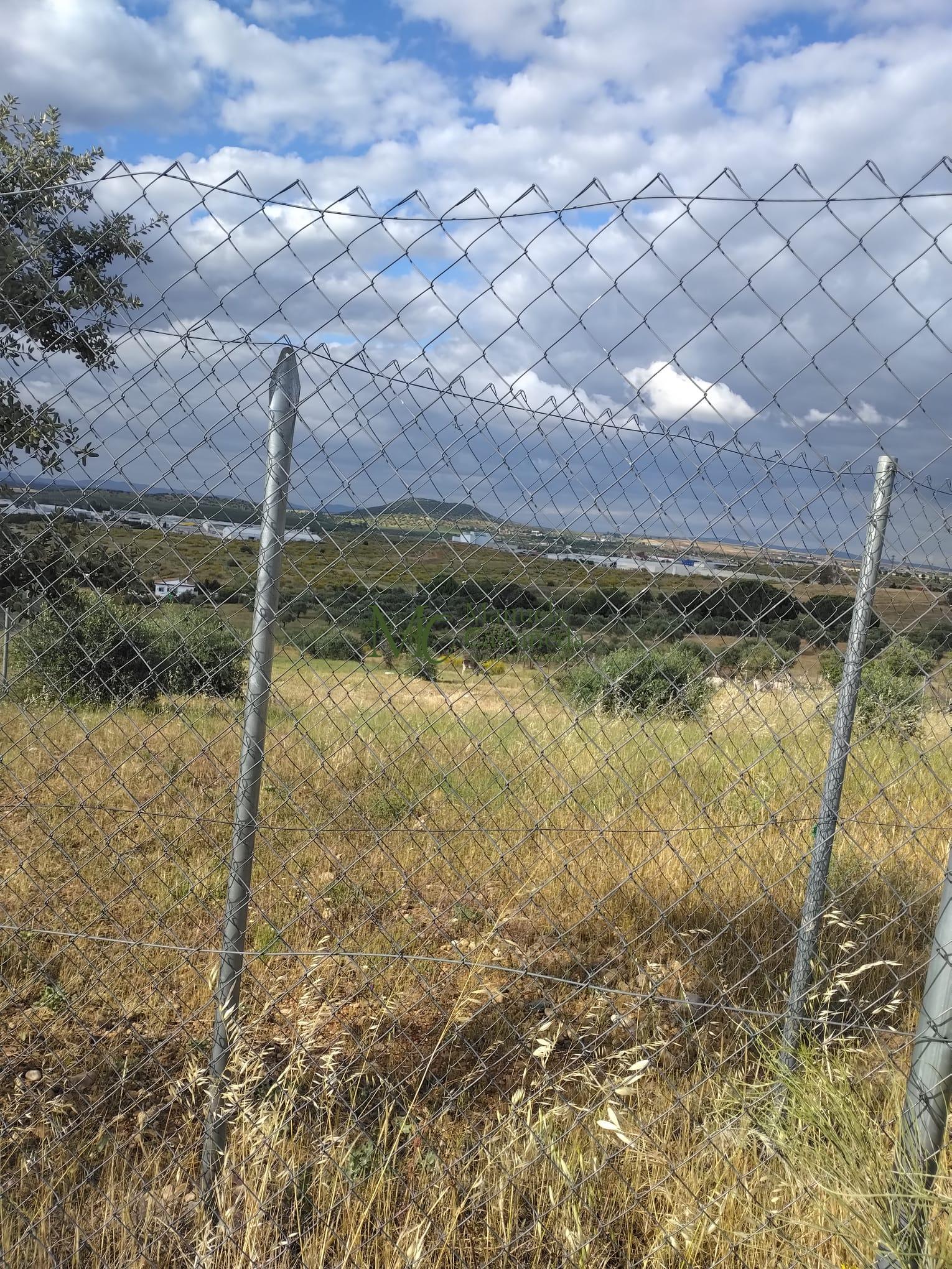 Venta de finca rústica en Mérida