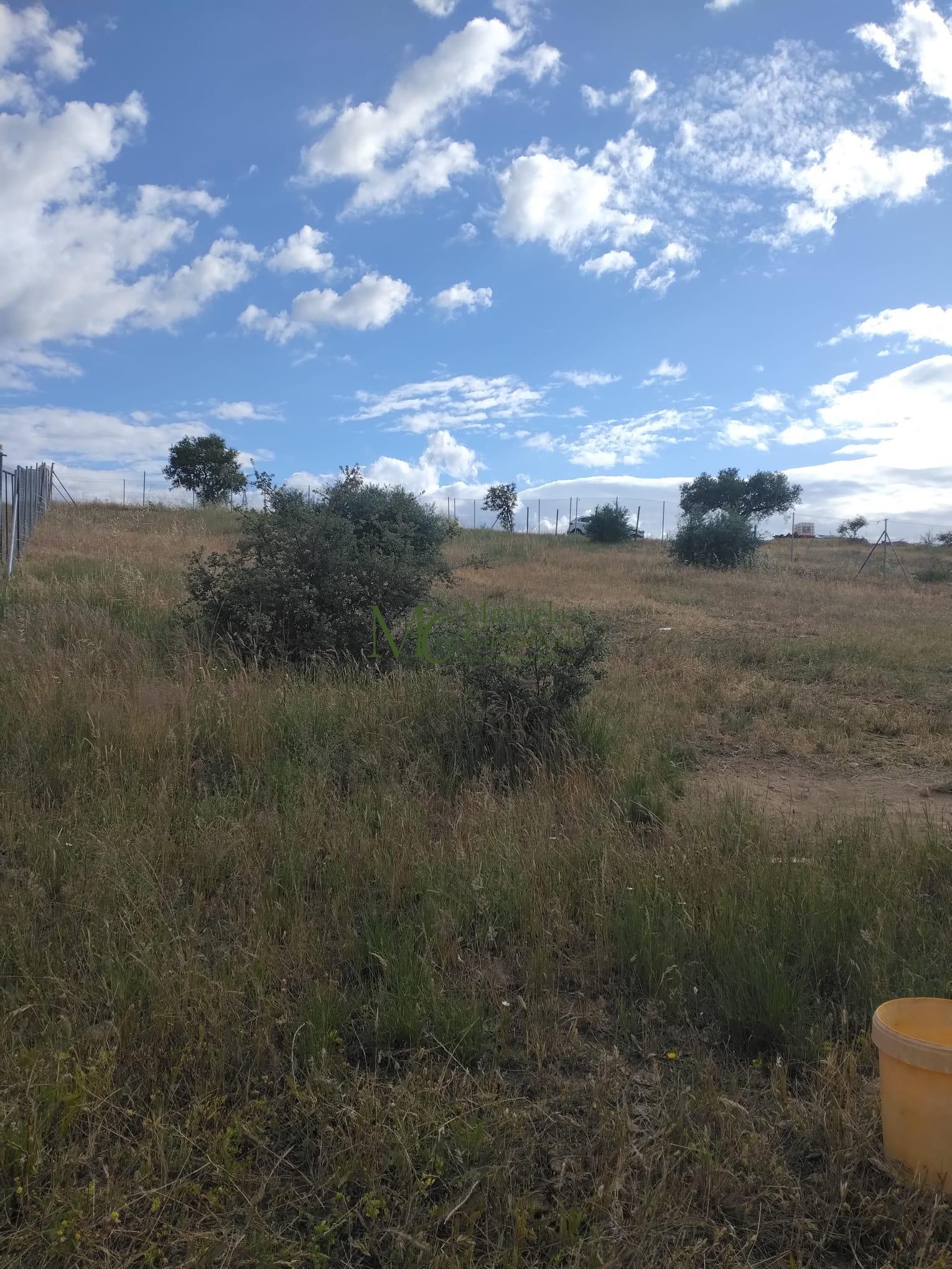 Venta de finca rústica en Mérida