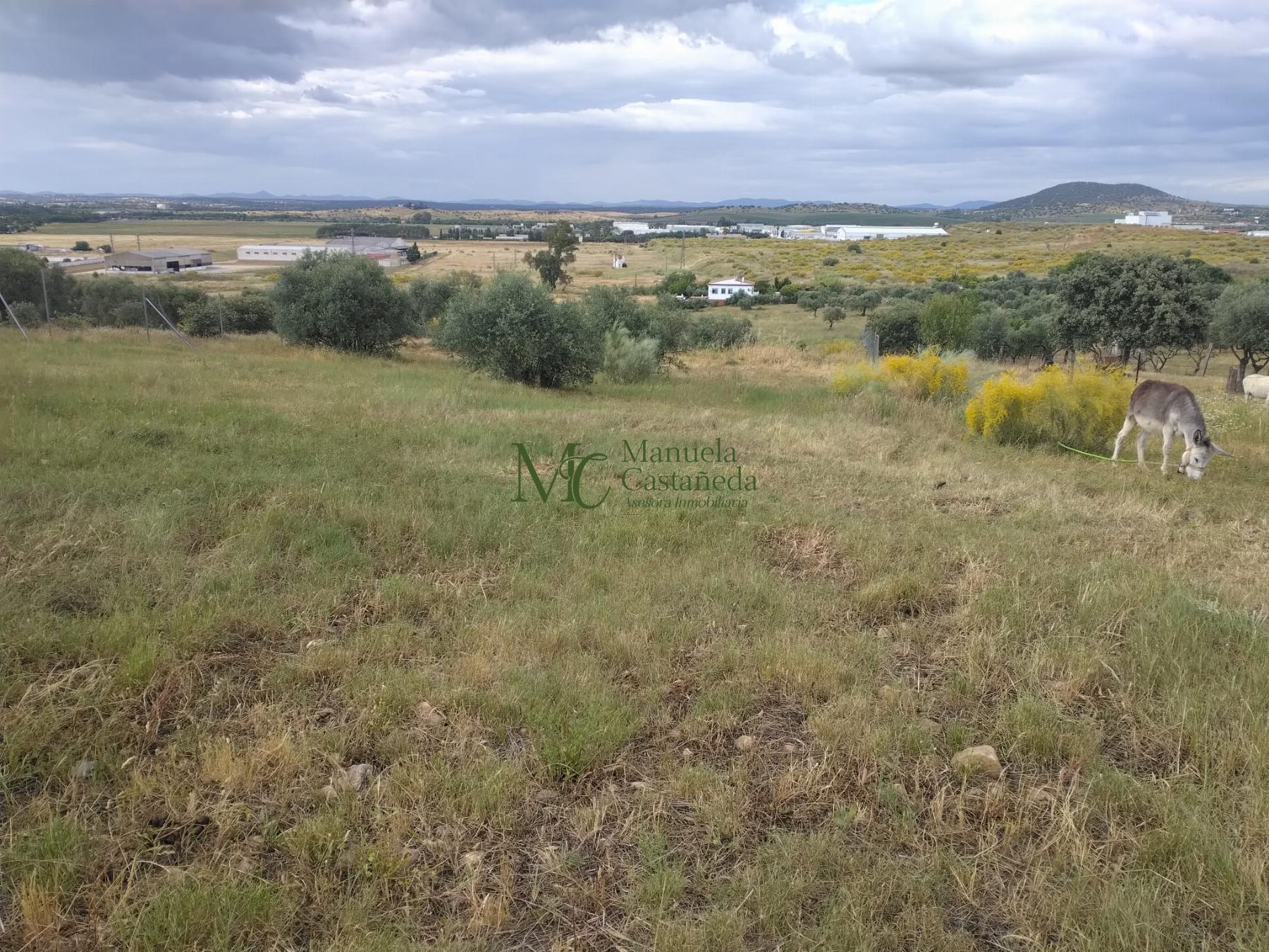 Venta de finca rústica en Mérida